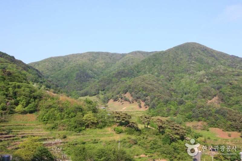智異山國立公園
