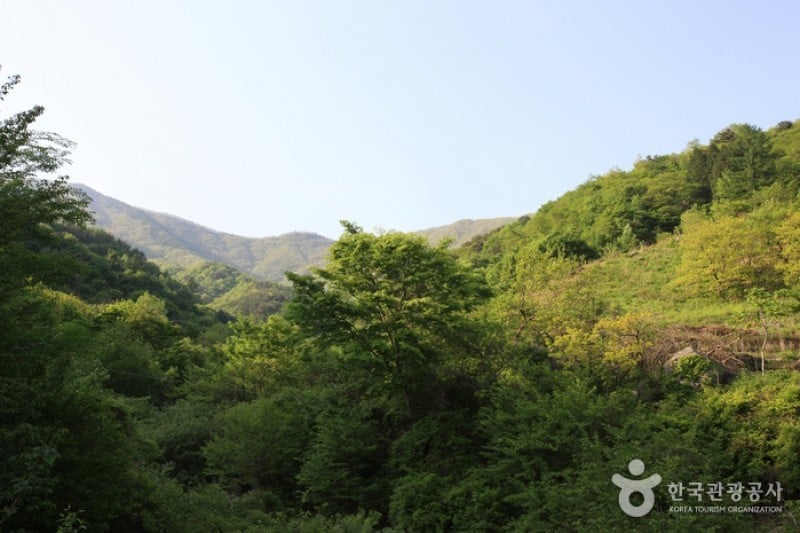 智異山國立公園