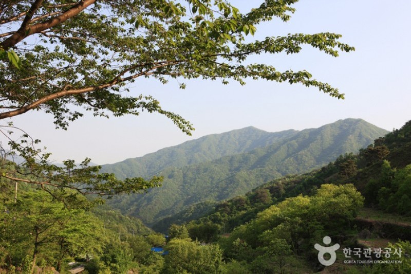 智異山國立公園