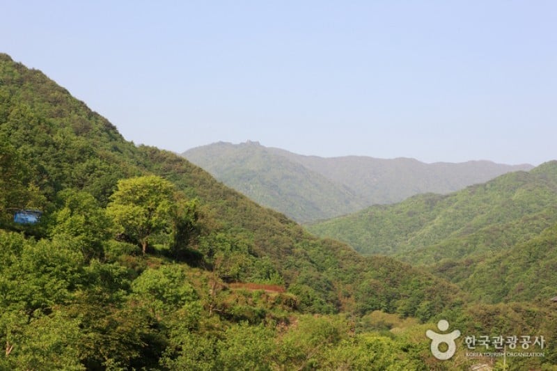 智異山國立公園