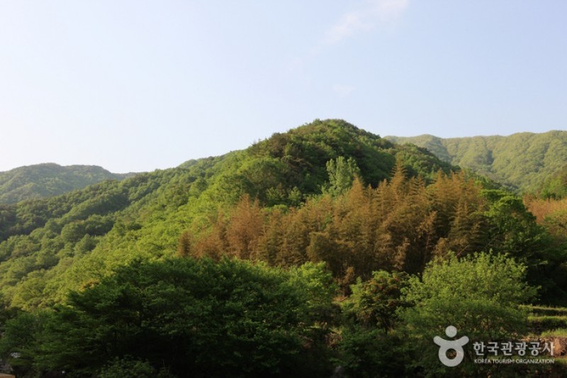 智異山國立公園