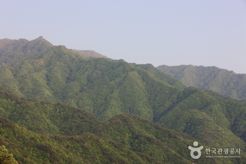 智異山國立公園