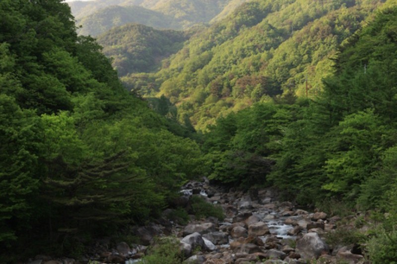 智異山國立公園