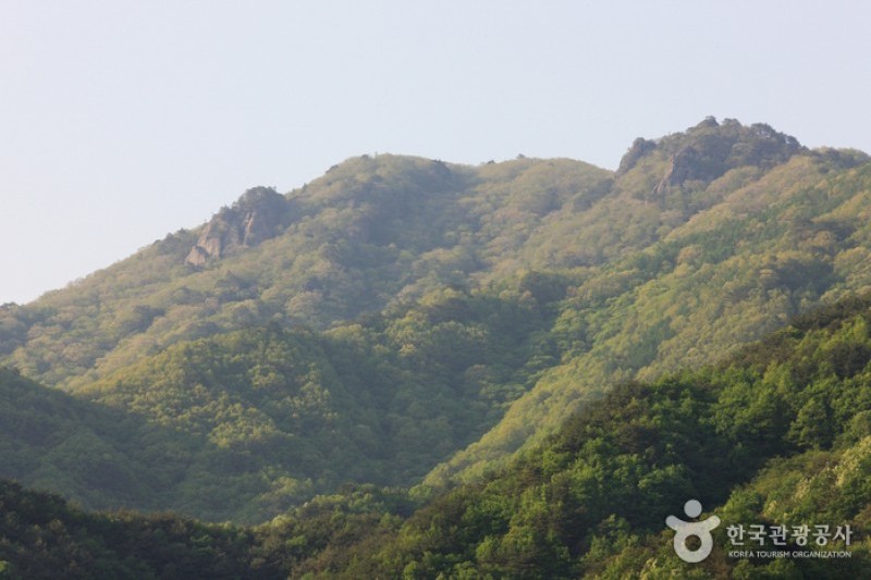 智異山國立公園