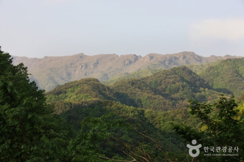 智異山國立公園