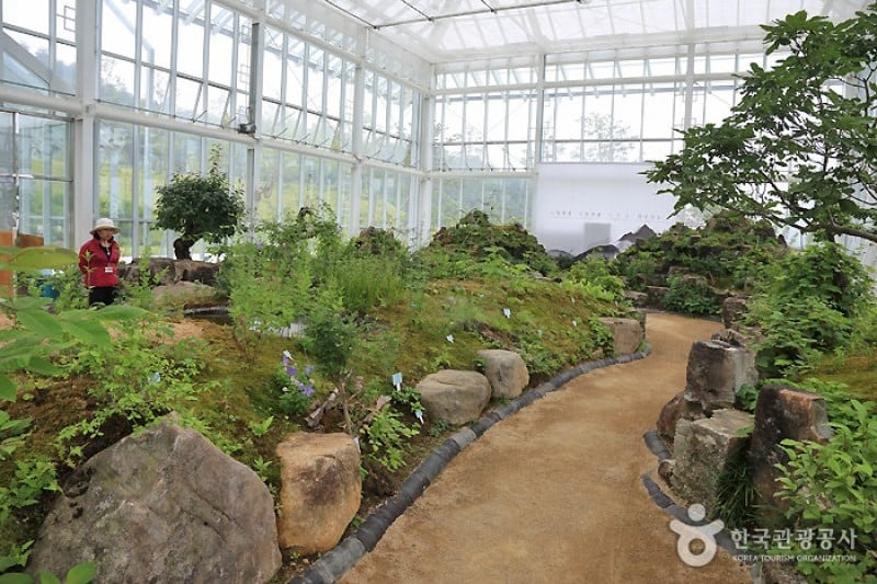 山清韓方主題樂園東醫寶鑑村 (7/13)