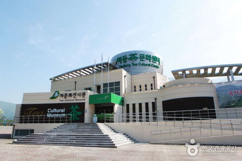 河東野生茶文化節