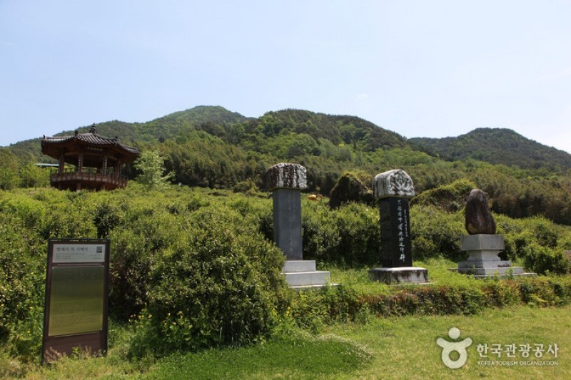 河東野生茶文化節