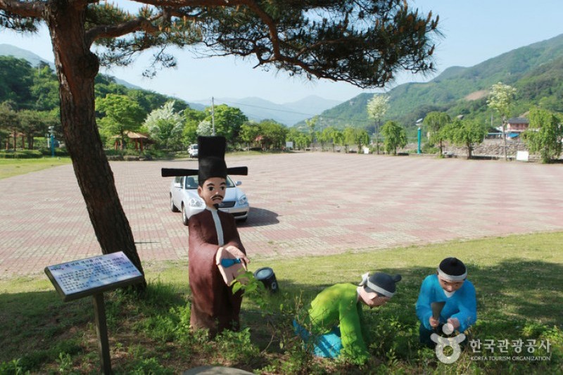 河東野生茶文化節