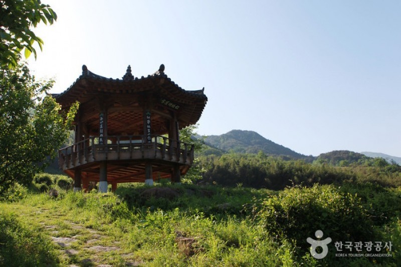 河東野生茶文化節