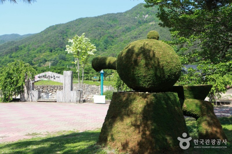 河東野生茶文化節