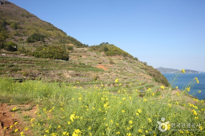梯田村