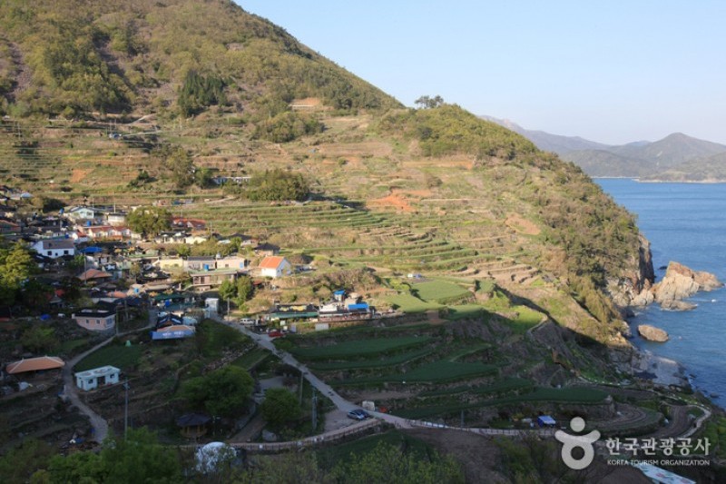 梯田村