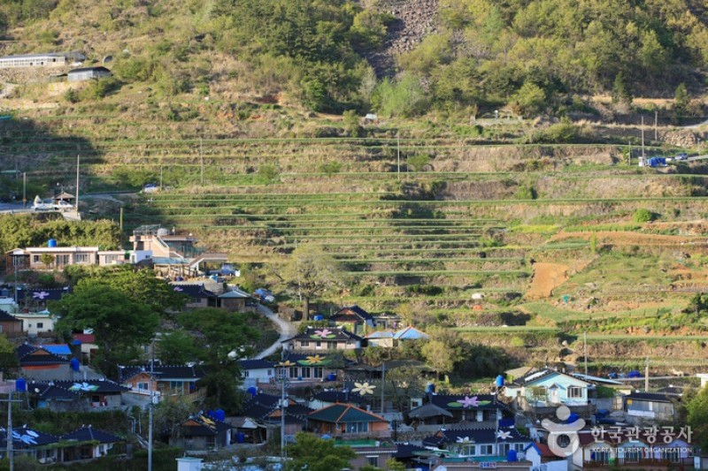 梯田村