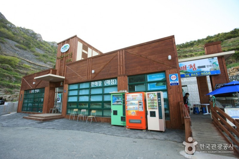梯田村