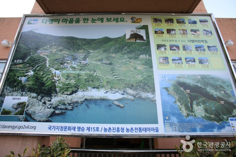 梯田村