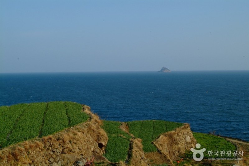 梯田村