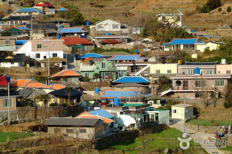 梯田村