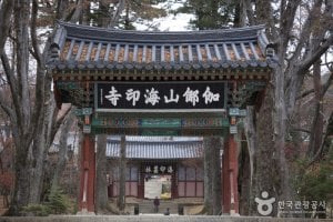 海印寺山寺體驗