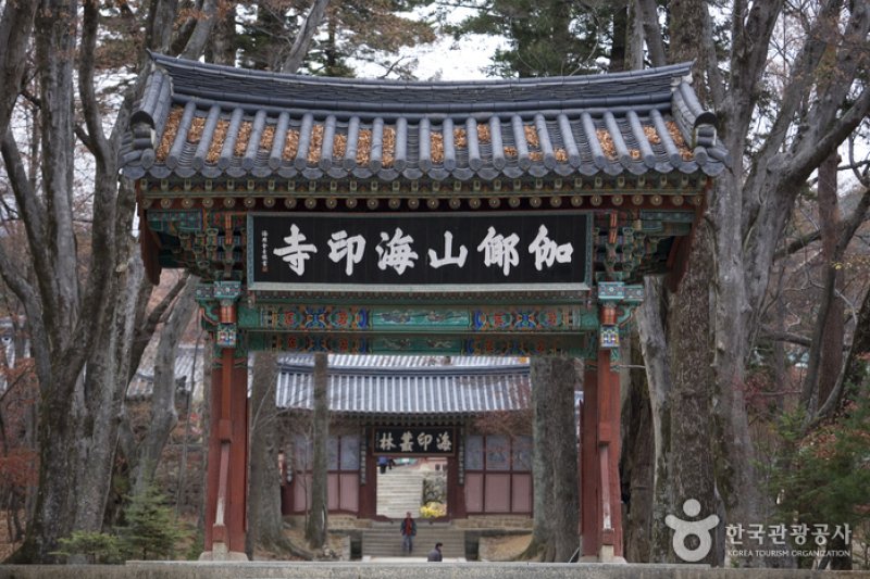 海印寺山寺體驗 (1/4)
