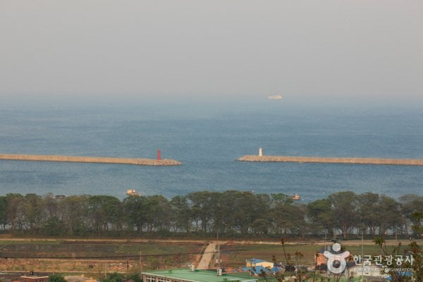 南海勿巾里防潮魚付林