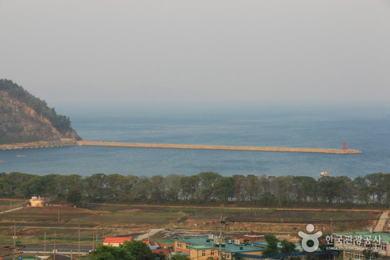 南海勿巾里防潮魚付林