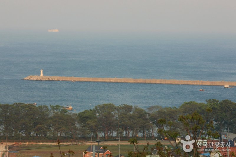南海勿巾里防潮魚付林