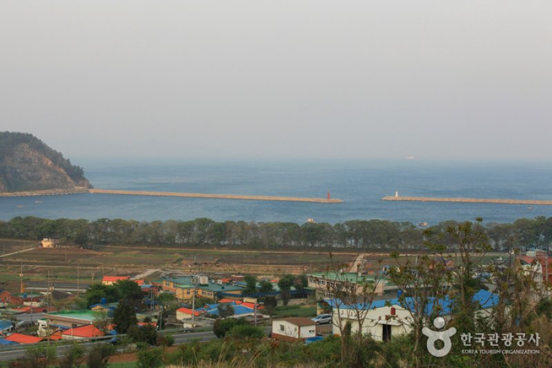 南海勿巾里防潮魚付林