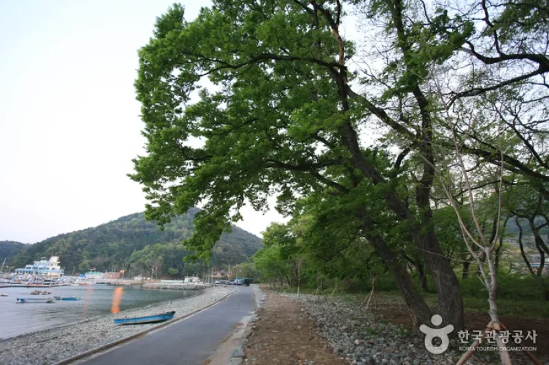 南海勿巾里防潮魚付林
