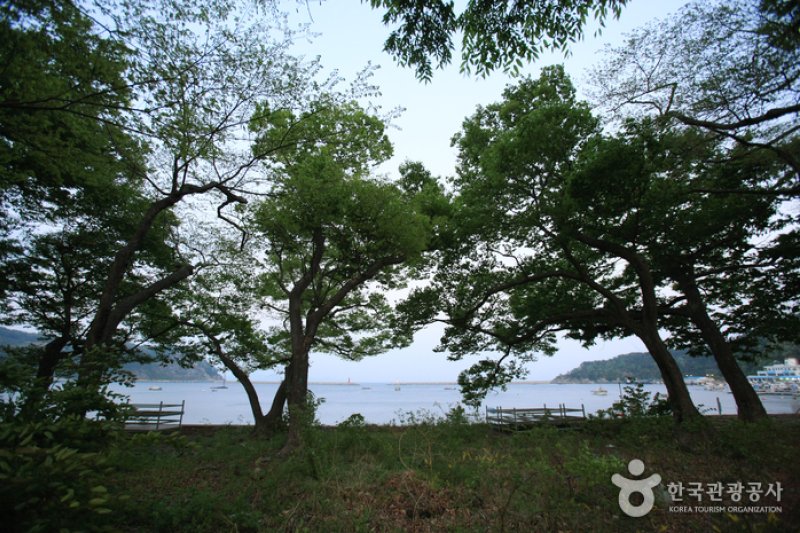 南海勿巾里防潮魚付林