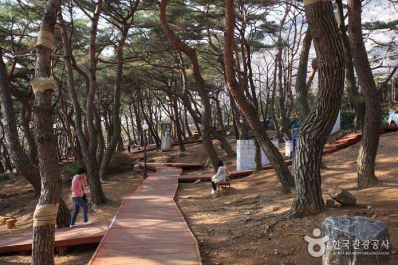 長福山雕刻公園 (2/10)