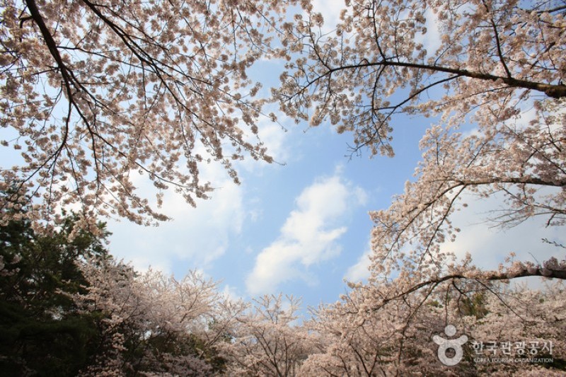 長福山雕刻公園 (3/10)