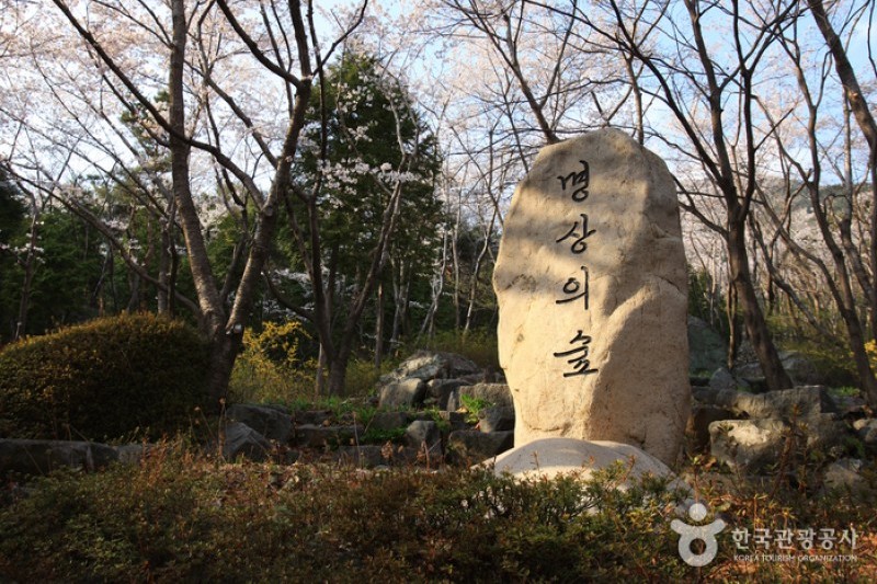 長福山雕刻公園 (9/10)