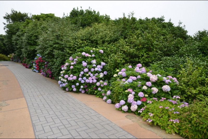長蛇島海上公園
