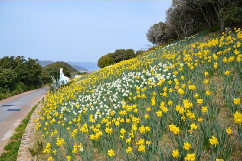 長蛇島海上公園