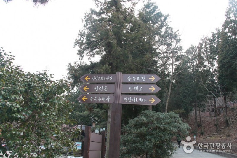 國立南海扁柏自然休養林 