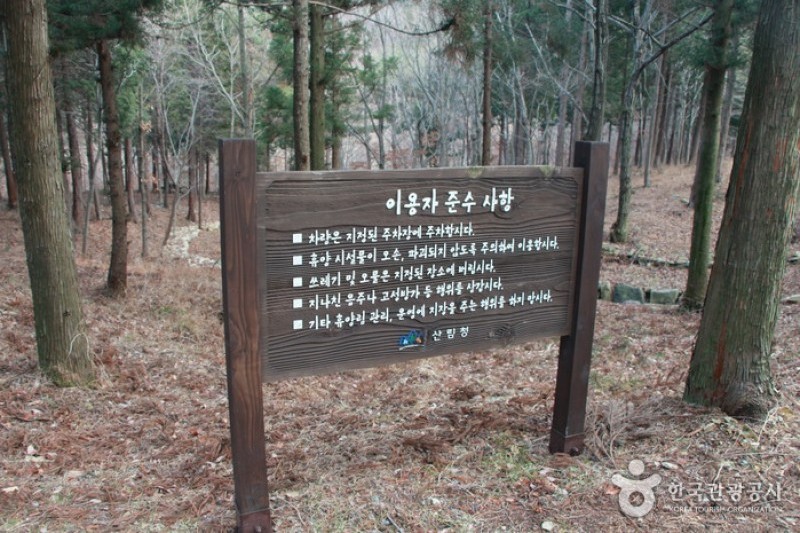 國立南海扁柏自然休養林 