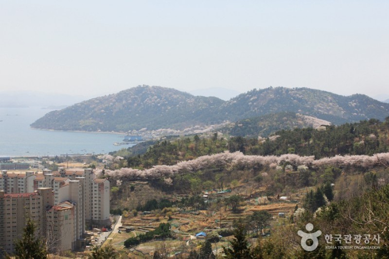 安民嶺 (3/6)