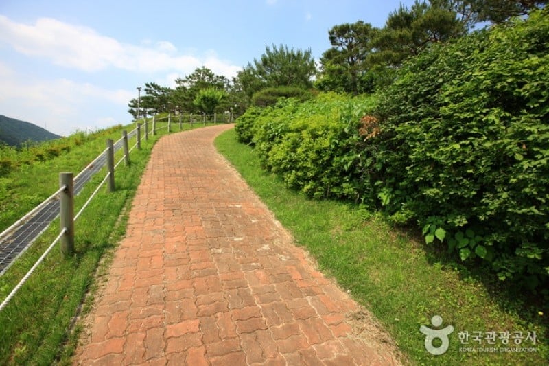龜旨峰 (5/7)