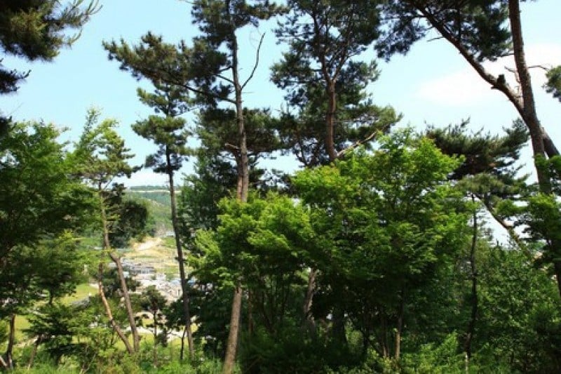 龜旨峰 (7/7)