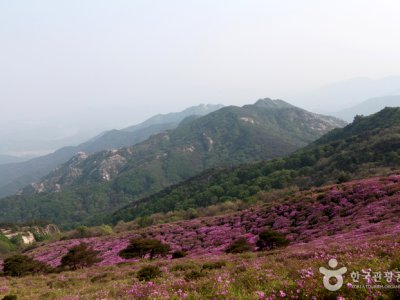 黃梅山