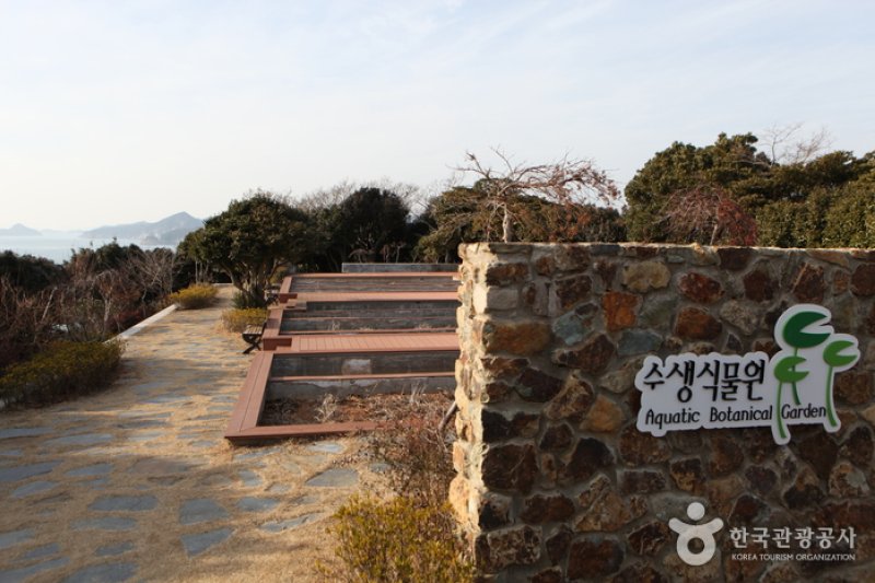 長蛇島(장사도) (11/31)