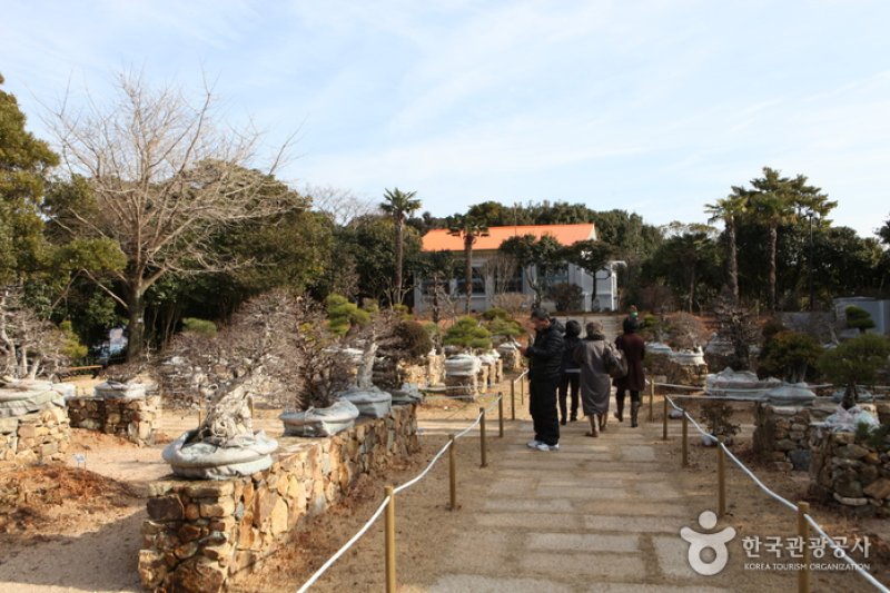長蛇島(장사도) (26/31)