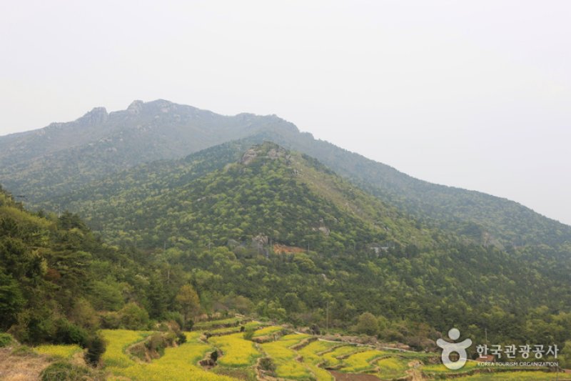 南海錦山