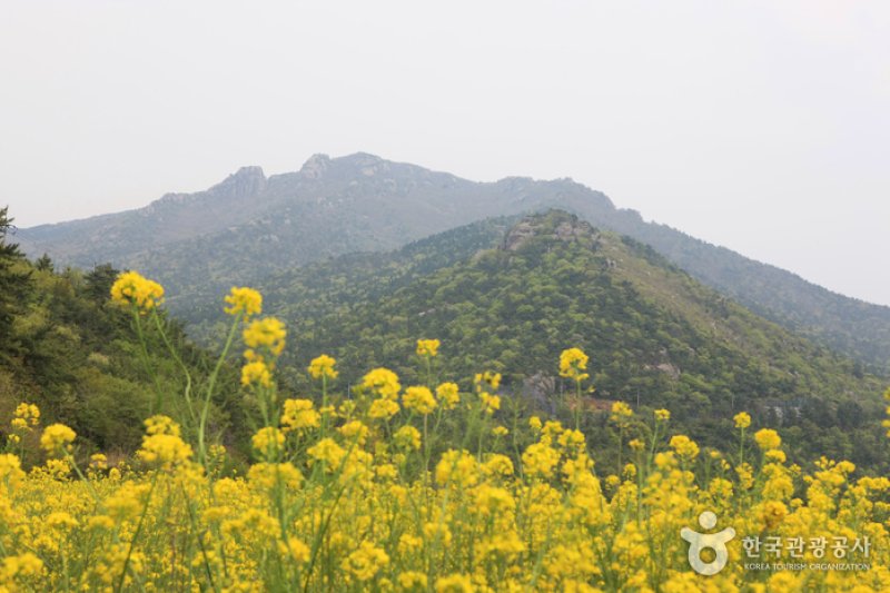 南海錦山