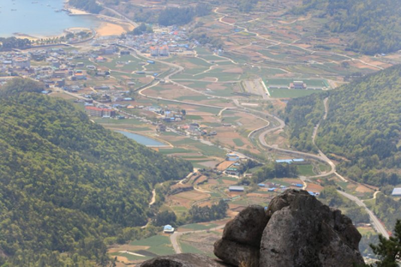 南海錦山