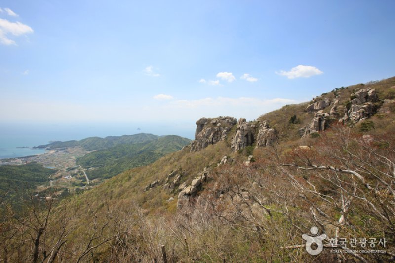 南海錦山