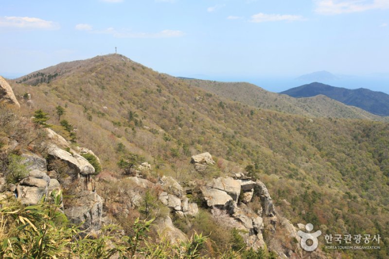 南海錦山