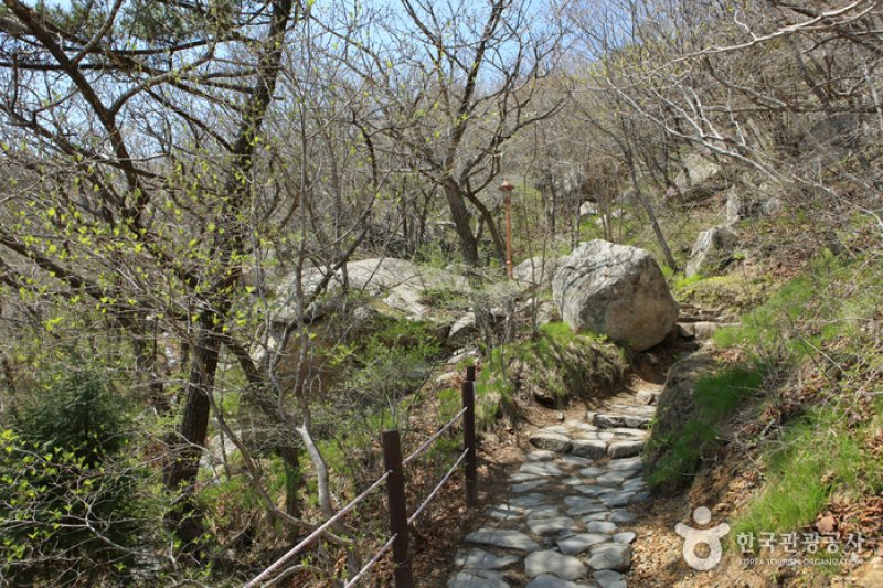 南海錦山