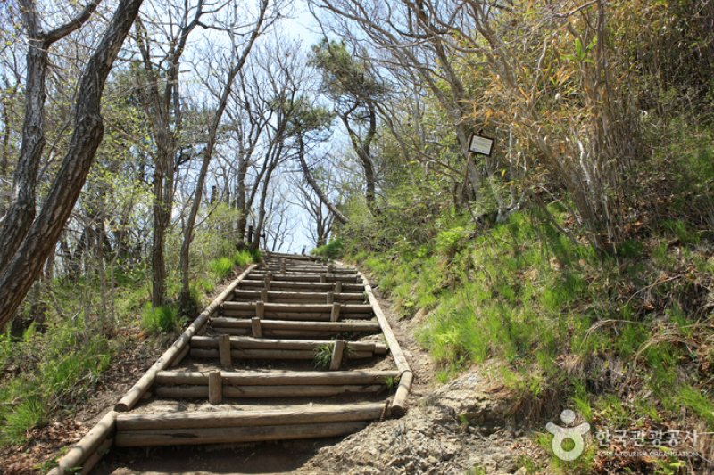 南海錦山